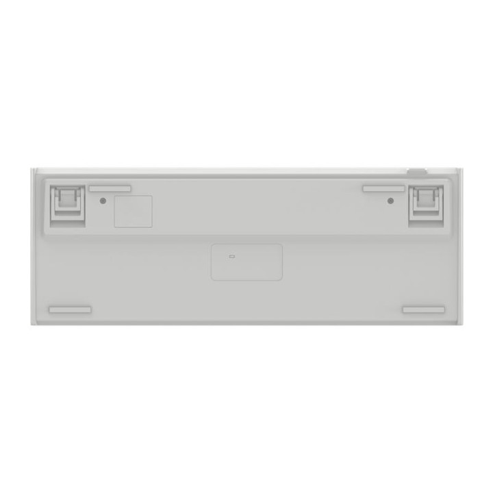 Teclado Phoenix Royal Gaming Mecanico TKL USB RGB White |