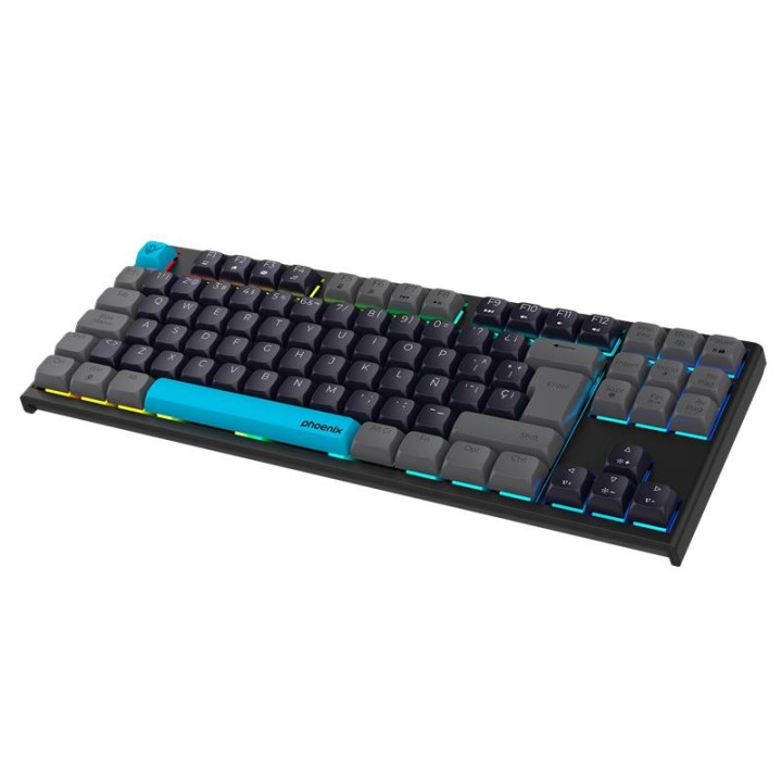 Teclado Phoenix Royal Gaming Mecanico USB RGB Black | InfoChen