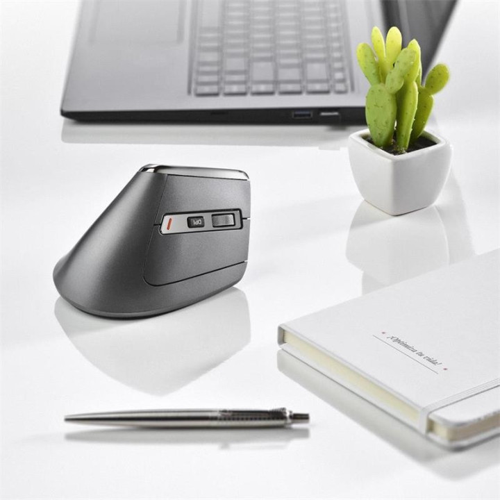 Raton Ngs Evo Karma LED Ergonomic Wireless | InfoChen Canarias