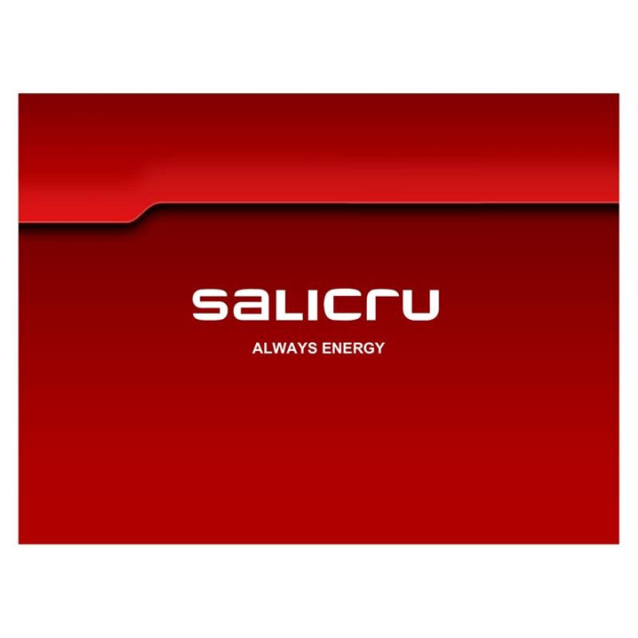 Bateria Ups Salicru 9AH/12V | InfoChen Canarias