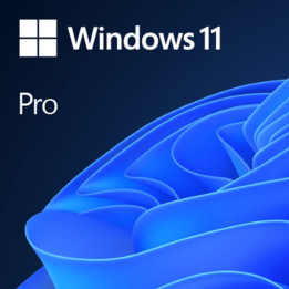Windows 11 Professional 64 Bits Sin Dvd | InfoChen Canarias