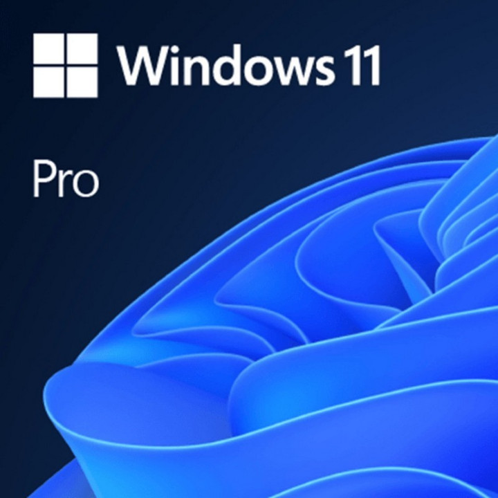 Windows 11 Professional 64 Bits Sin Dvd | InfoChen Canarias