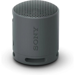 Altavoz Sony XB100 Wireless Bluetooth 5.3 IP67 Black | InfoChen