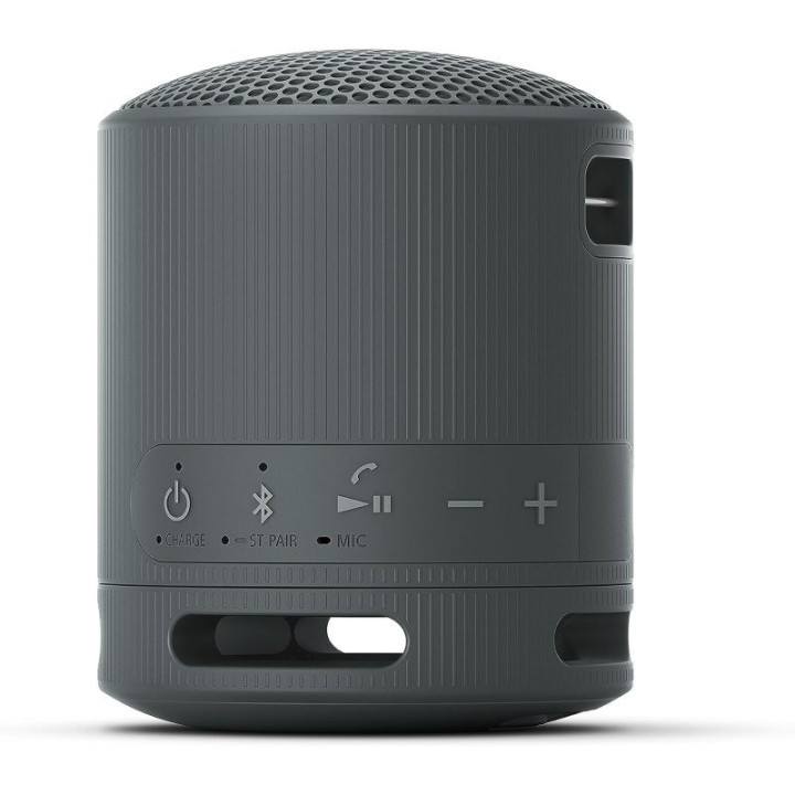 Altavoz Sony XB100 Wireless Bluetooth 5.3 IP67 Black | InfoChen