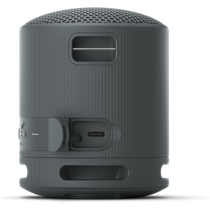 Altavoz Sony XB100 Wireless Bluetooth 5.3 IP67 Black | InfoChen