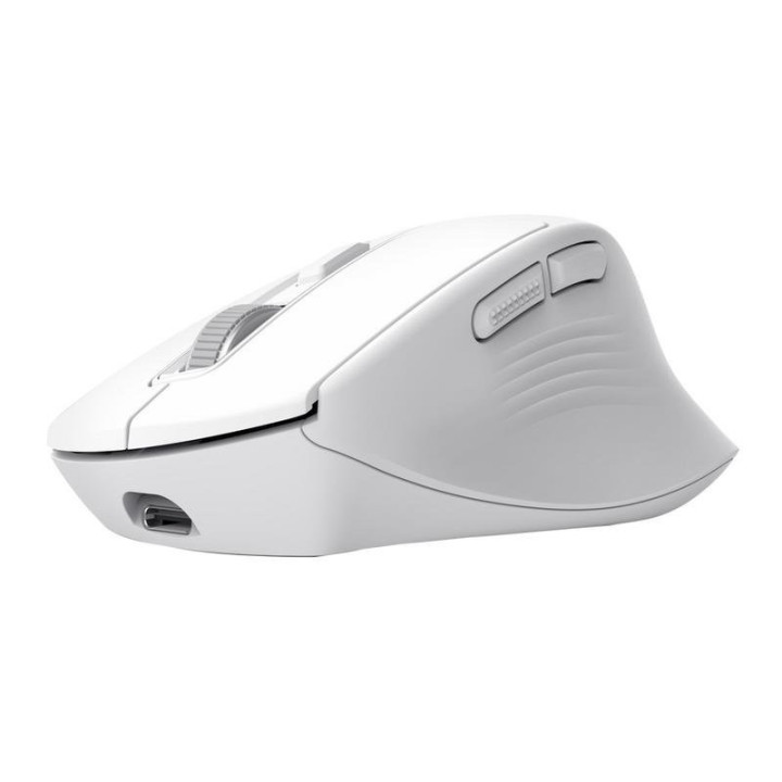 Raton Trust Niven Wireless Recargable USB-C White | InfoChen