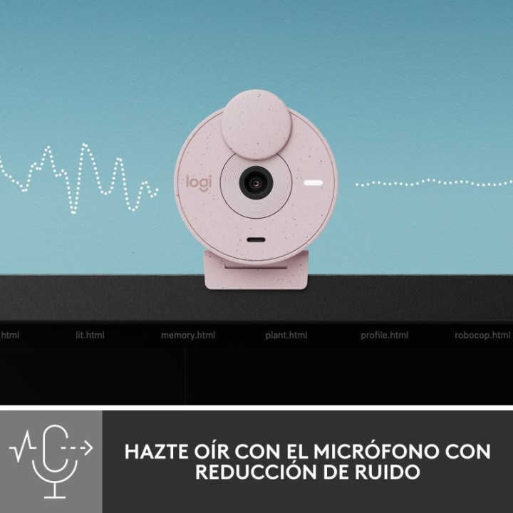 Webcam Logitech Brio 300 Fhd USB-C Rose | InfoChen Canarias