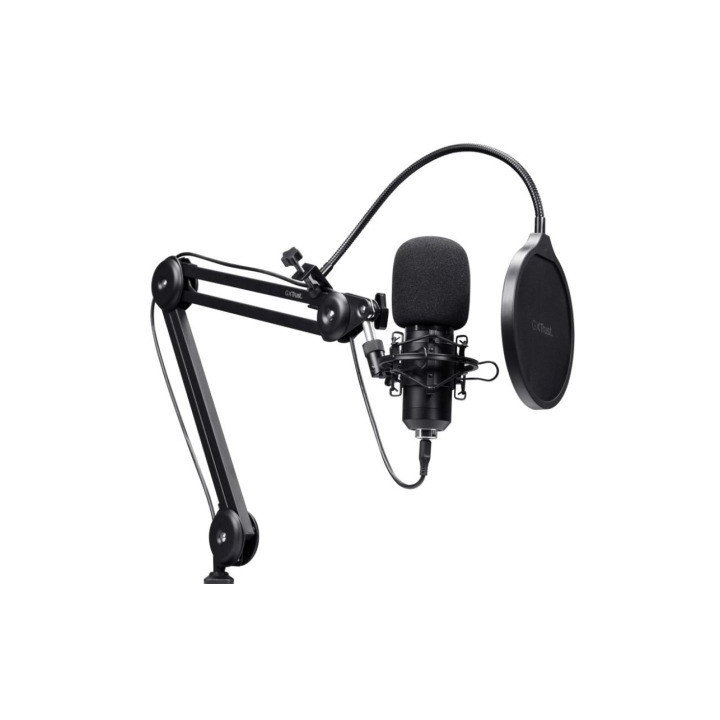 Microfono Trust Gxt 270 Emita Ii+ USB Filtro Streaming Brazo