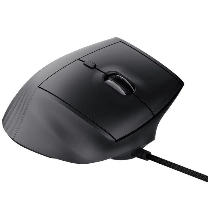 Raton Trust Gxt 145 Rexxa USB RGB Ergonomic Black | InfoChen