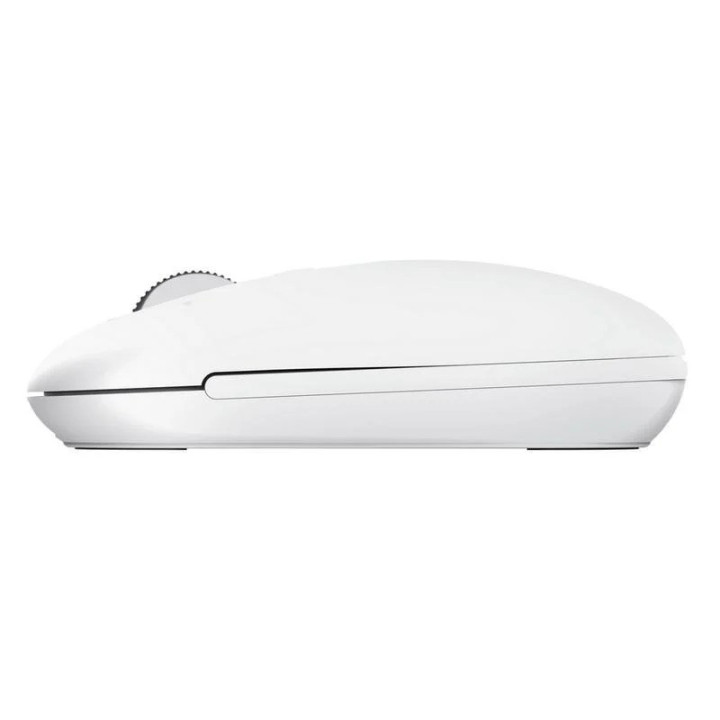 Raton Trust Seron Wireless Hyperscroll Slim White | InfoChen