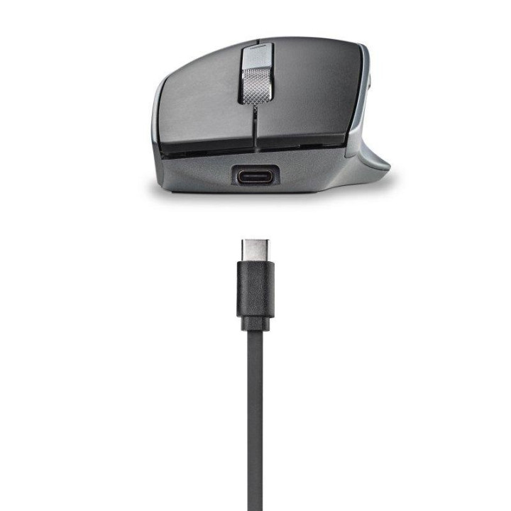 Raton Ngs Lush-Rb Ergonomico Wireless Recargable 1600 Dpi Black |