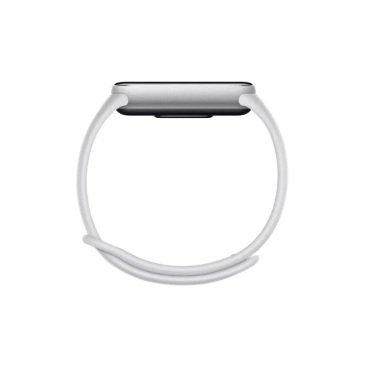 Smartwatch Reloj Xiaomi Mi Smartband 10 Bluetooth Silver |
