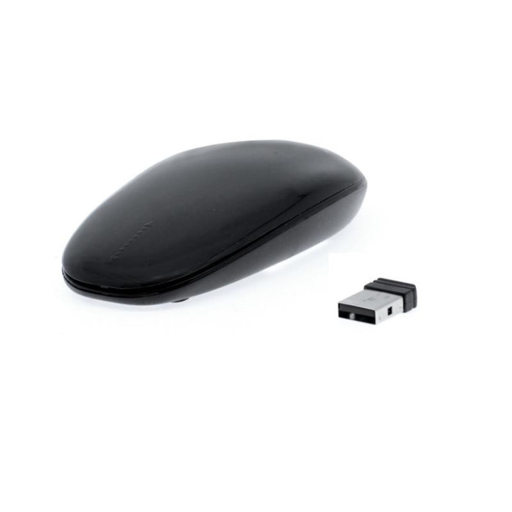 Raton Phoenix Optico Wireless Touch Scroll Black | InfoChen