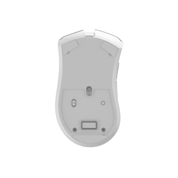 Raton Phoenix Gaming Void Elite Wireless RGB 19000 Dpi 7 Botones