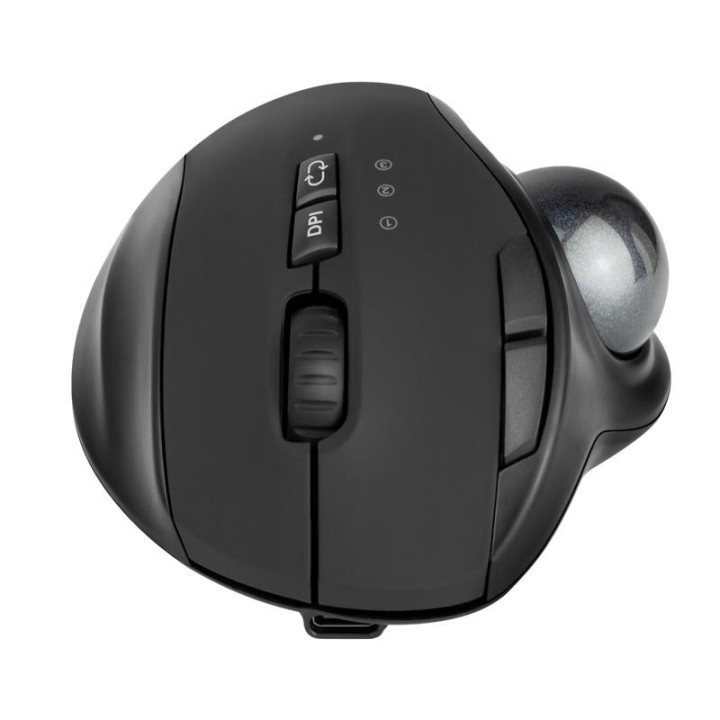 Raton Phoenix Ergonomico Trackball Wireless Black | InfoChen