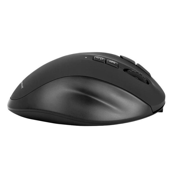 Raton Phoenix Ergonomico Trackball Wireless Black | InfoChen