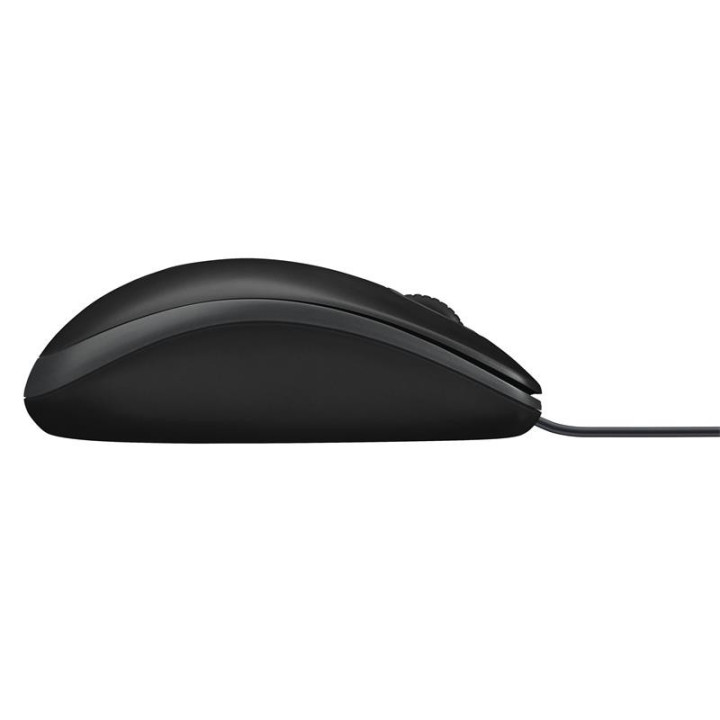 Raton Logitech B100 USB Black | InfoChen Canarias