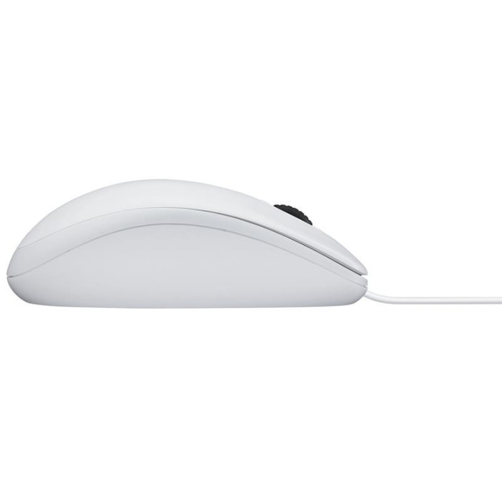 Raton Logitech B100 USB White | InfoChen Canarias