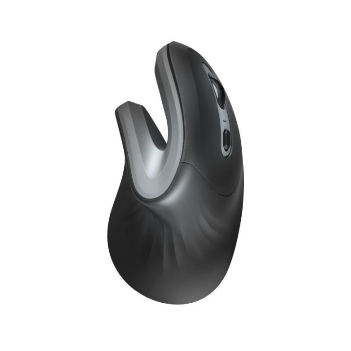 Raton Trust Verro Wireless Ergonomic | InfoChen Canarias