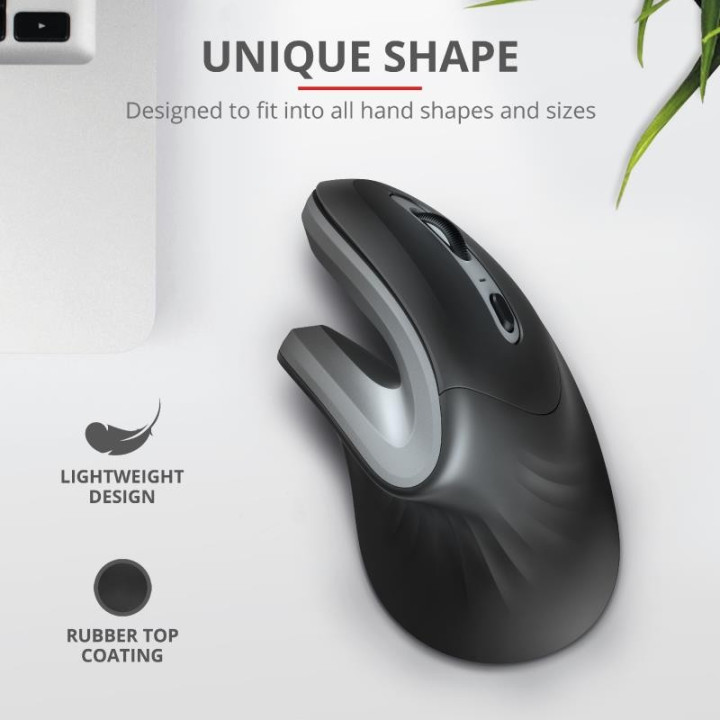 Raton Trust Verro Wireless Ergonomic | InfoChen Canarias