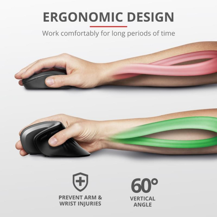 Raton Trust Verro Wireless Ergonomic | InfoChen Canarias