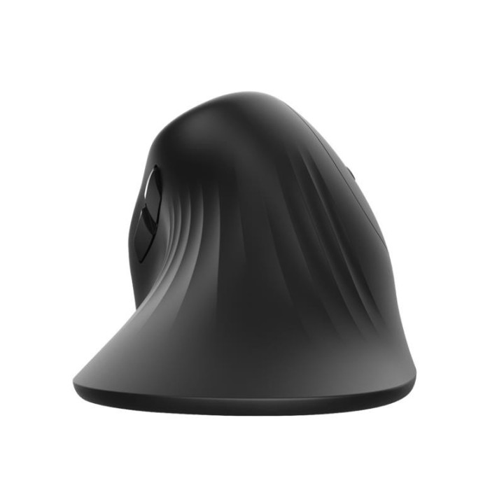 Raton Trust Verro Wireless Ergonomic | InfoChen Canarias